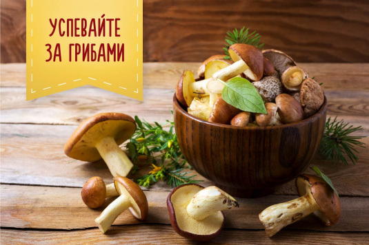специи для грибов