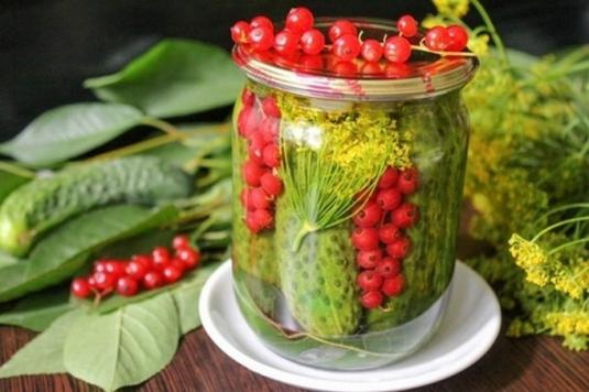 приправа айдиго для огурцов. Смотреть фото приправа айдиго для огурцов. Смотреть картинку приправа айдиго для огурцов. Картинка про приправа айдиго для огурцов. Фото приправа айдиго для огурцов приправа айдиго для огурцов. Смотреть фото приправа айдиго для огурцов. Смотреть картинку приправа айдиго для огурцов. Картинка про приправа айдиго для огурцов. Фото приправа айдиго для огурцов