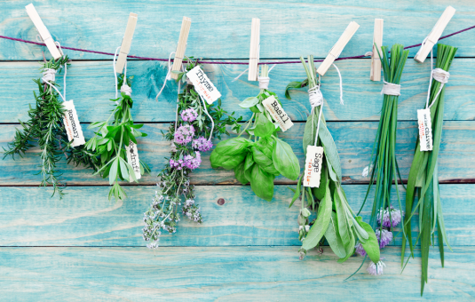 aromatic-herbs.png