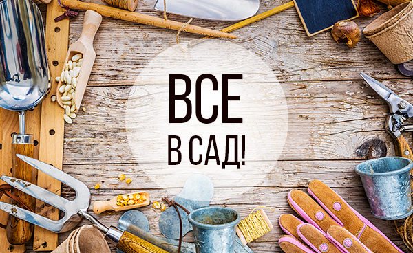 Магазин Дачный Сезон Магазин Дачный Сезон