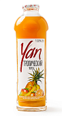 Сок тропический YAN