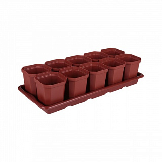 Набор для рассады (10 горшков) Альтернатива