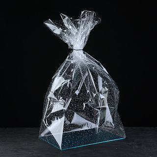 Пакет подарочный с жестким дном 22*28*80