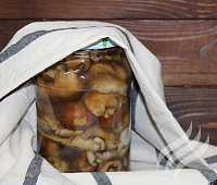 Валуи соленые