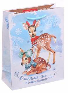 Пакет вертикальный ламинированный "С теплыми пожеланиями" 18*23*8