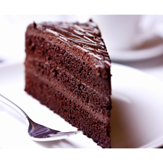 Смесь Бисквитный концентрат с какао "Триэр"