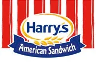 AMERICAN SANDWICH