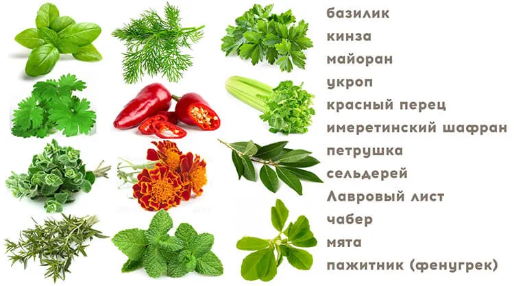 Букет невесты на никах